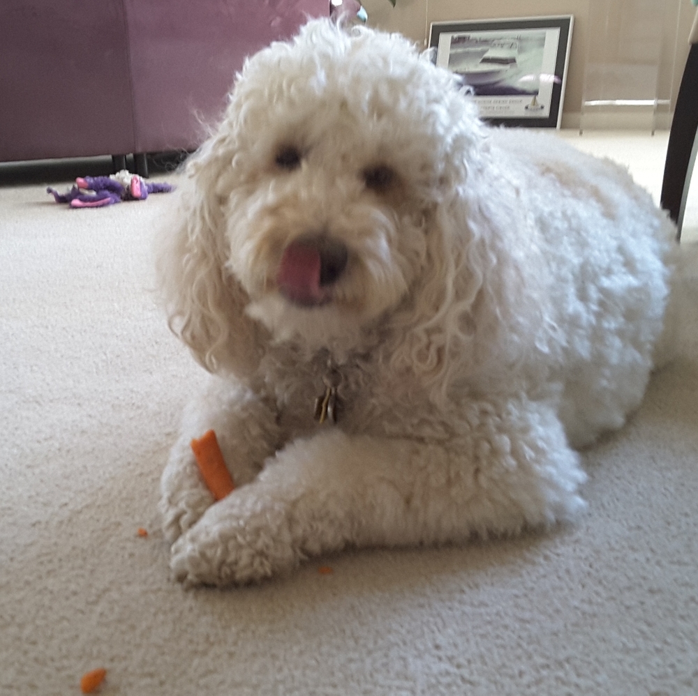 CHANCEY WOW!! 30LBS Weight Loss Time For A Trim❤❤ - Picture 1 of 7